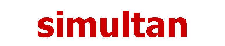 Simultan UG (haftungsbeschränkt)